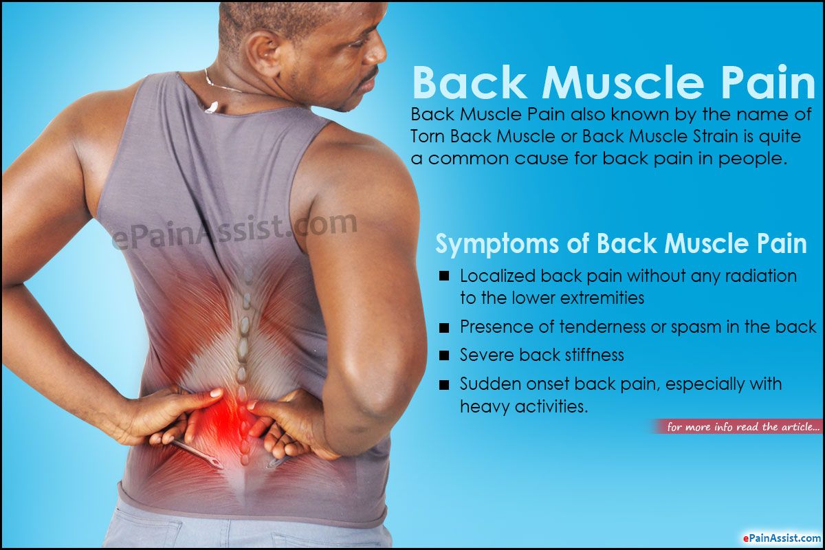 Intercostal spine